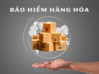 BẢO HIỂM HÀNG HÓA (CARGO INSURANCE)