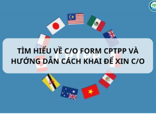 TÌM HIỂU VỀ C/O FORM CPTPP  VÀ HƯỚNG DẪN CÁCH KHAI ĐỂ XIN C/O
